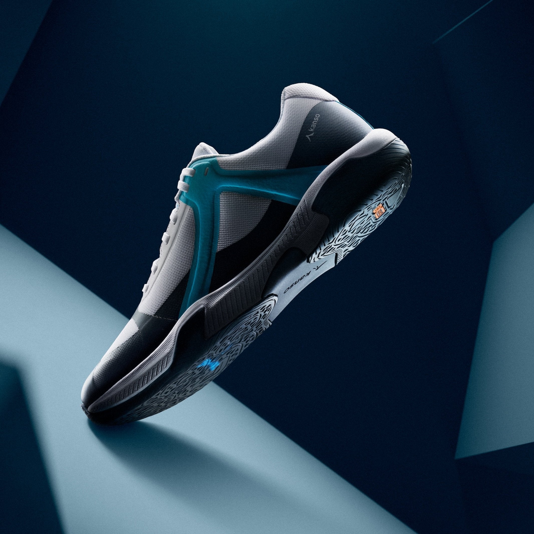 DragonFly White / Blue